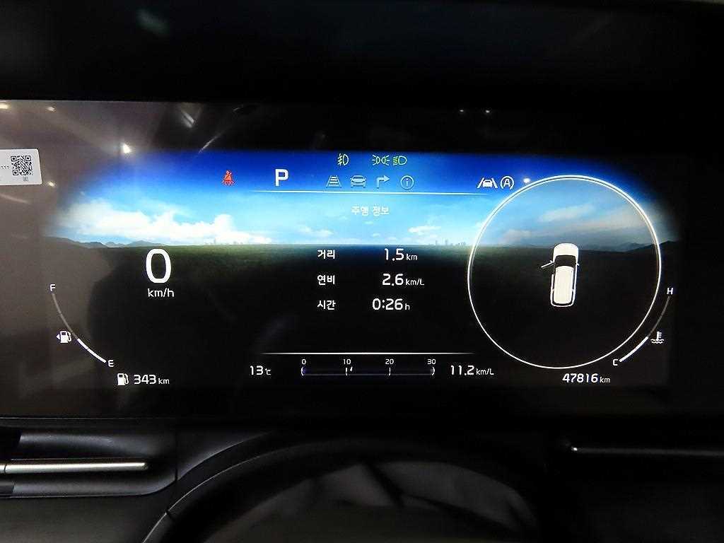 KIA Carnival - Vista 9