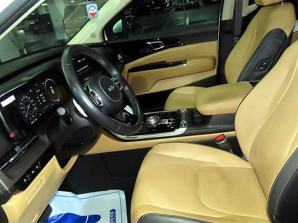 KIA Carnival - Vista 6