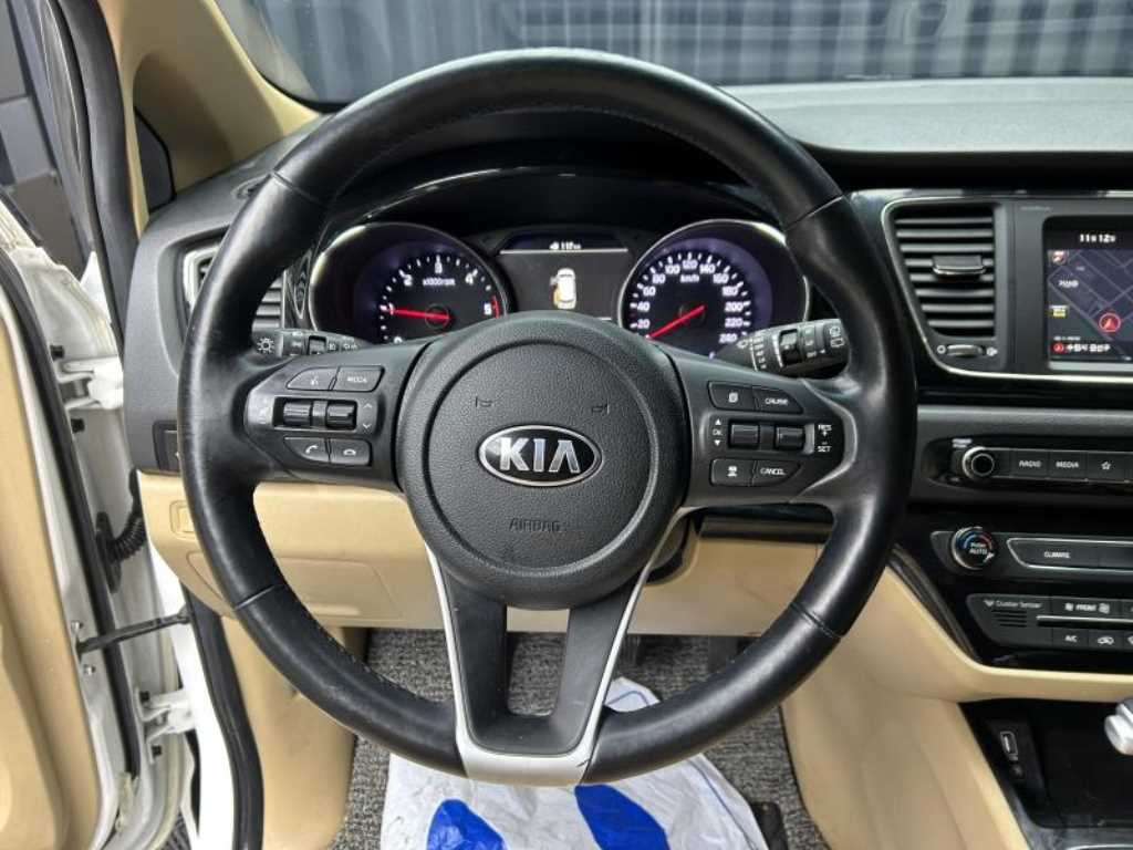 KIA Carnival - Vista 8