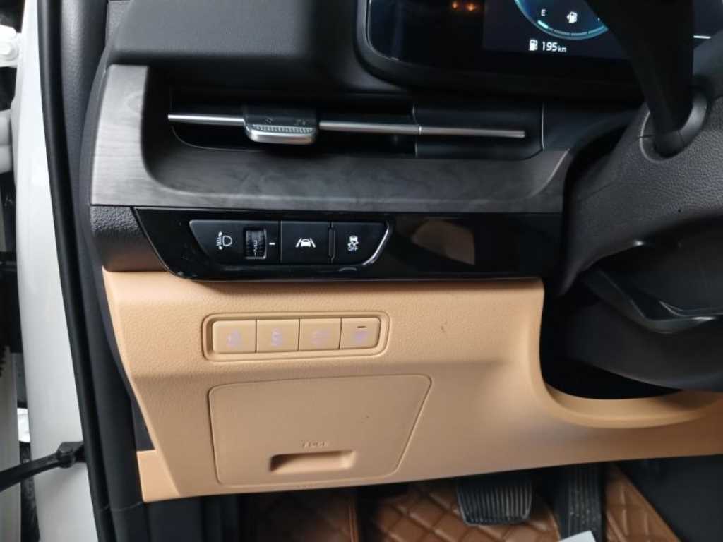 KIA Carnival - Vista 12