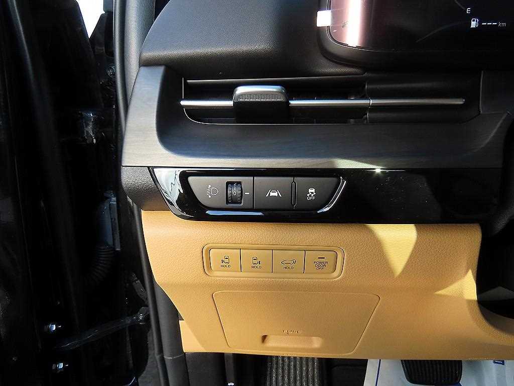 KIA Carnival - Vista 12