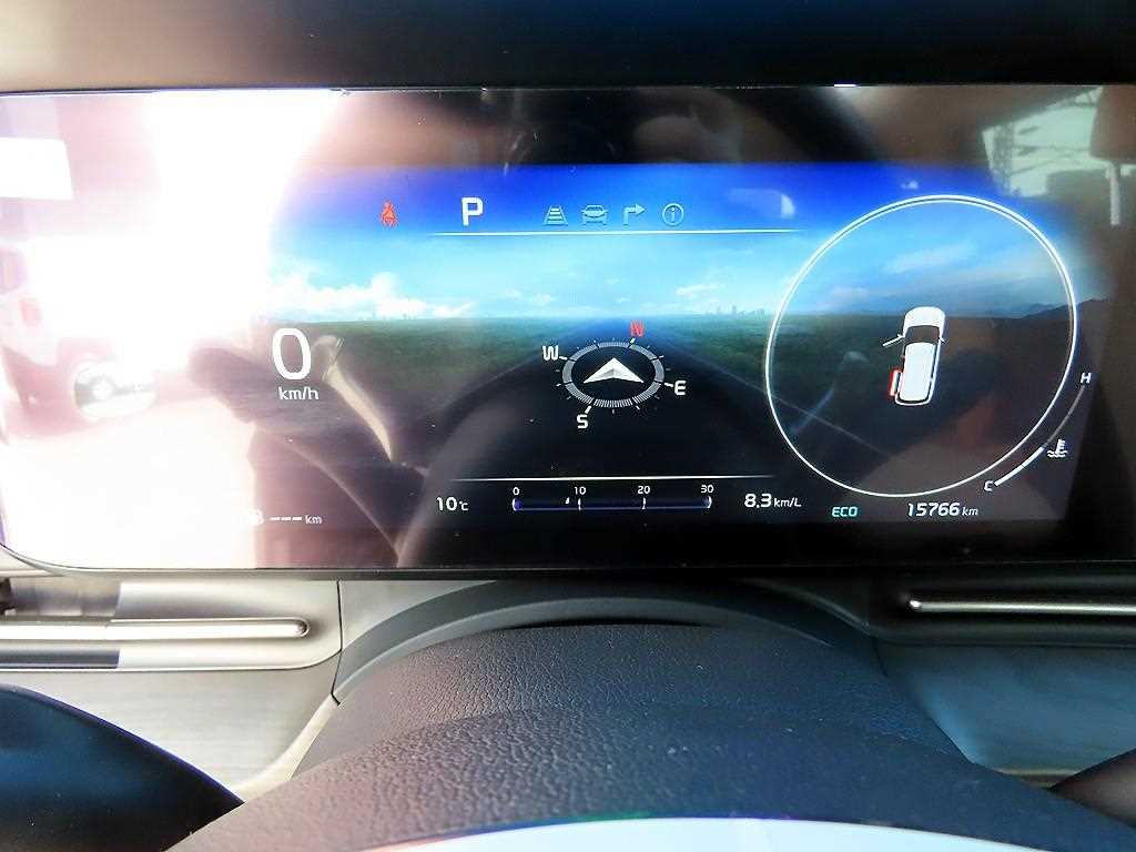 KIA Carnival - Vista 10