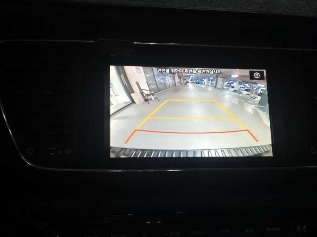 KIA Carnival - Vista 12