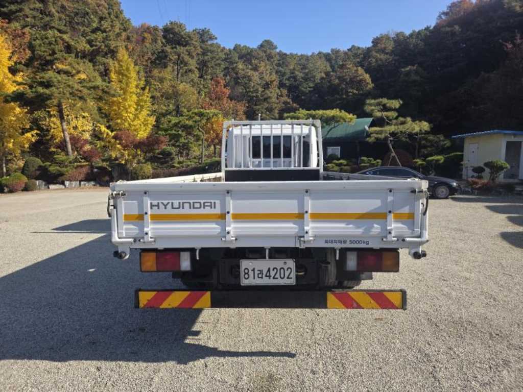 medium and large cargo Cargo - Vista 4