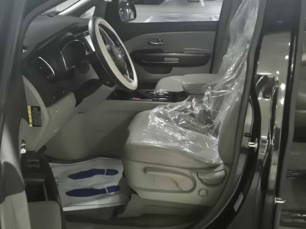 KIA Carnival - Vista 6