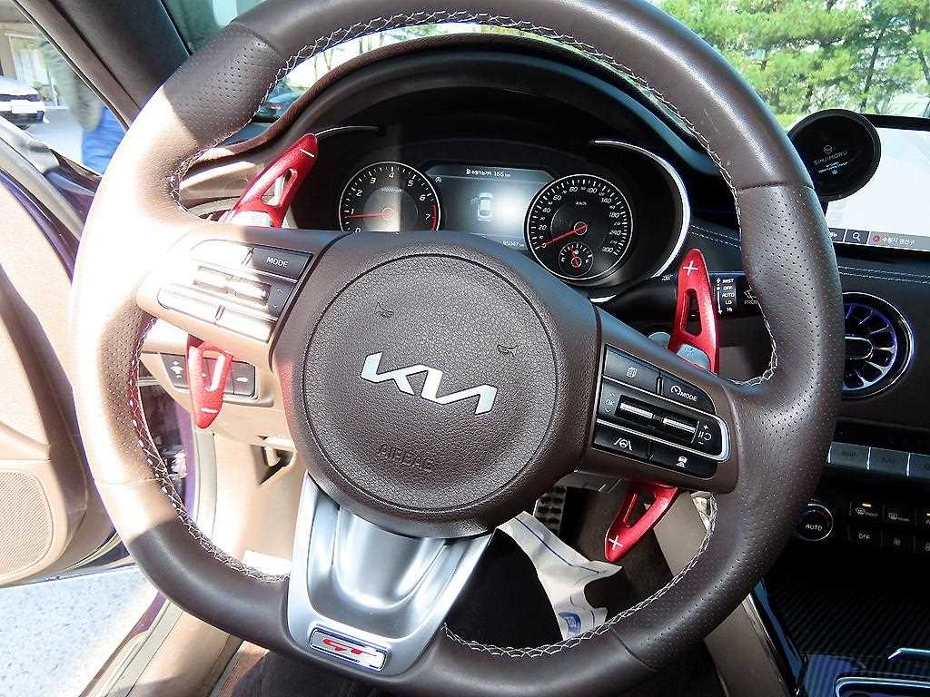 KIA Stinger - Vista 8