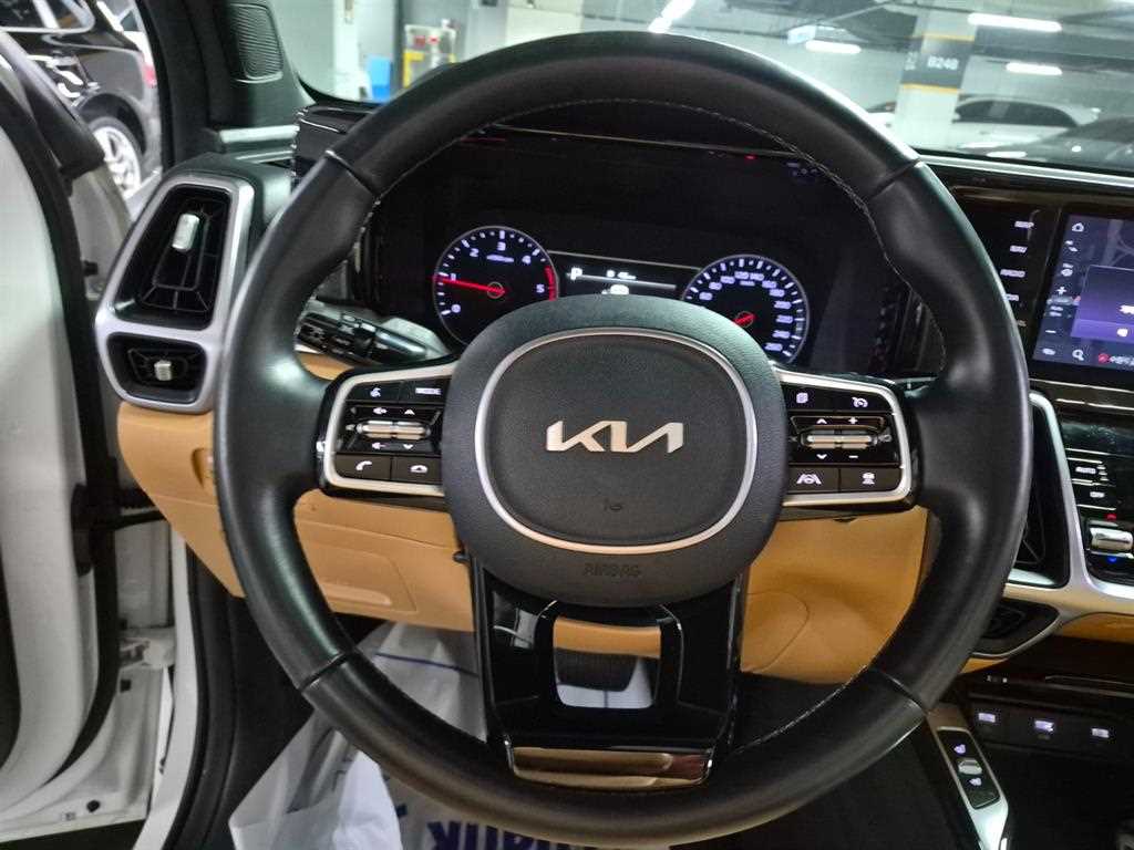 KIA Sorento - Vista 12