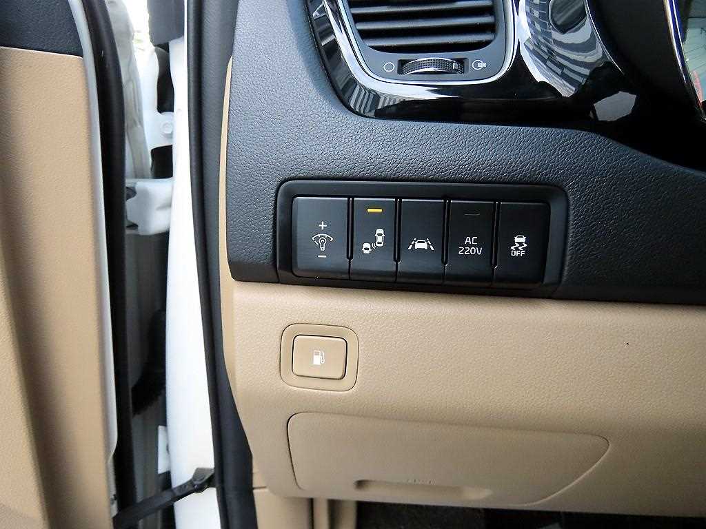 KIA Carnival - Vista 12