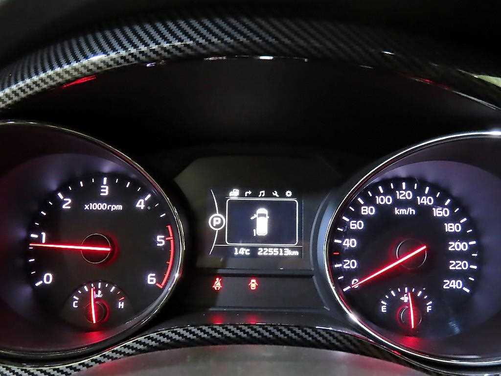 KIA Carnival - Vista 9