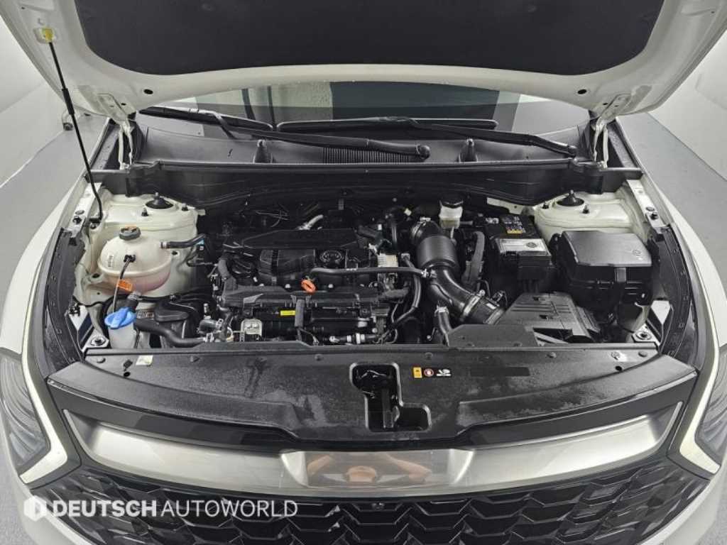 KIA Sportage - Vista 6