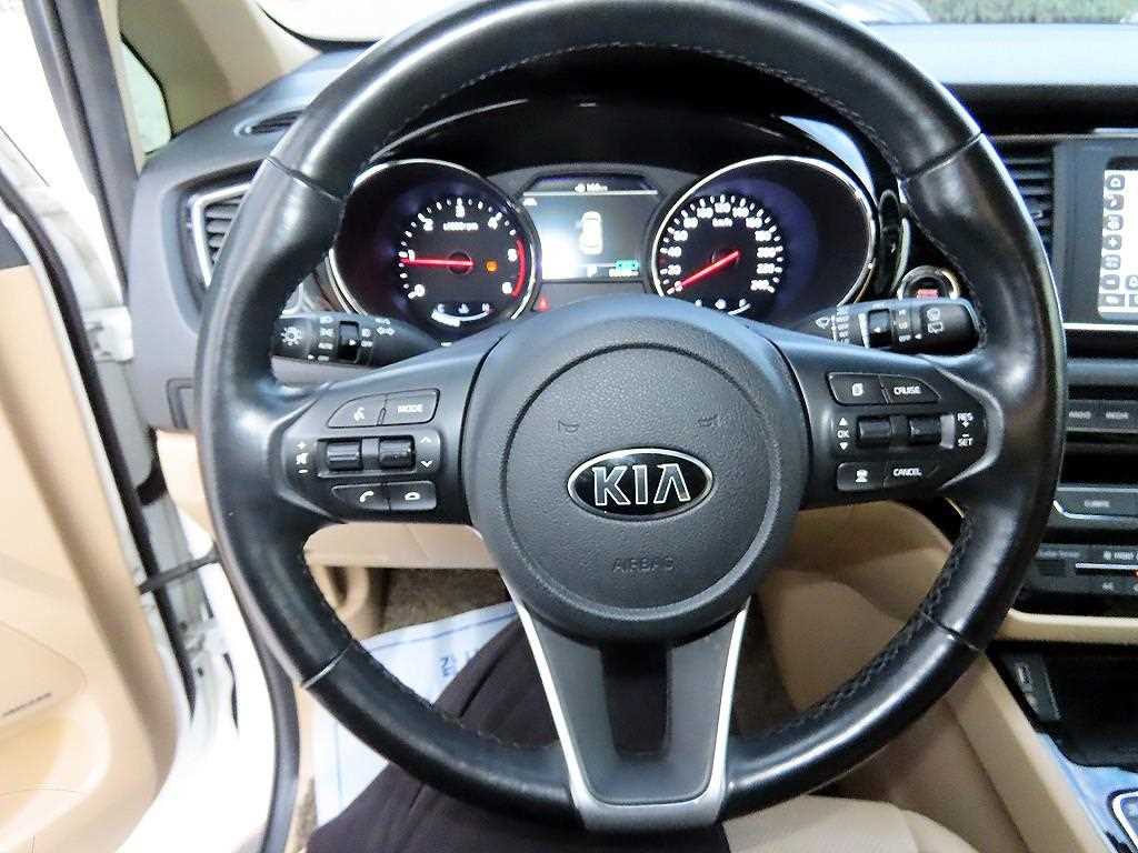 KIA Carnival - Vista 8