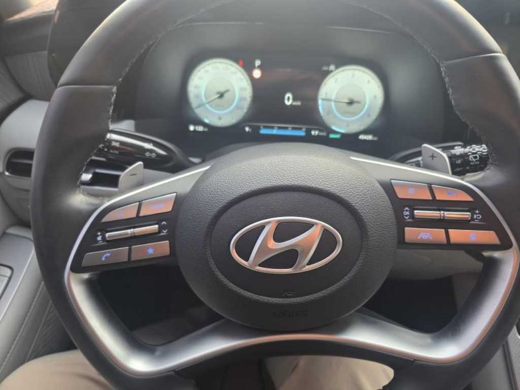 HYUNDAI Palisade - Vista 10