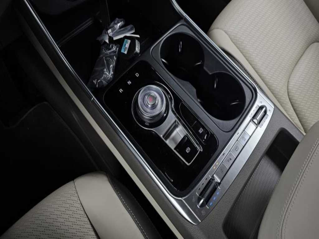 KIA Carnival - Vista 9