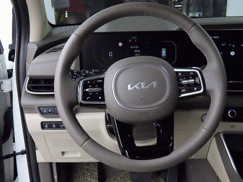 KIA Carnival - Vista 9