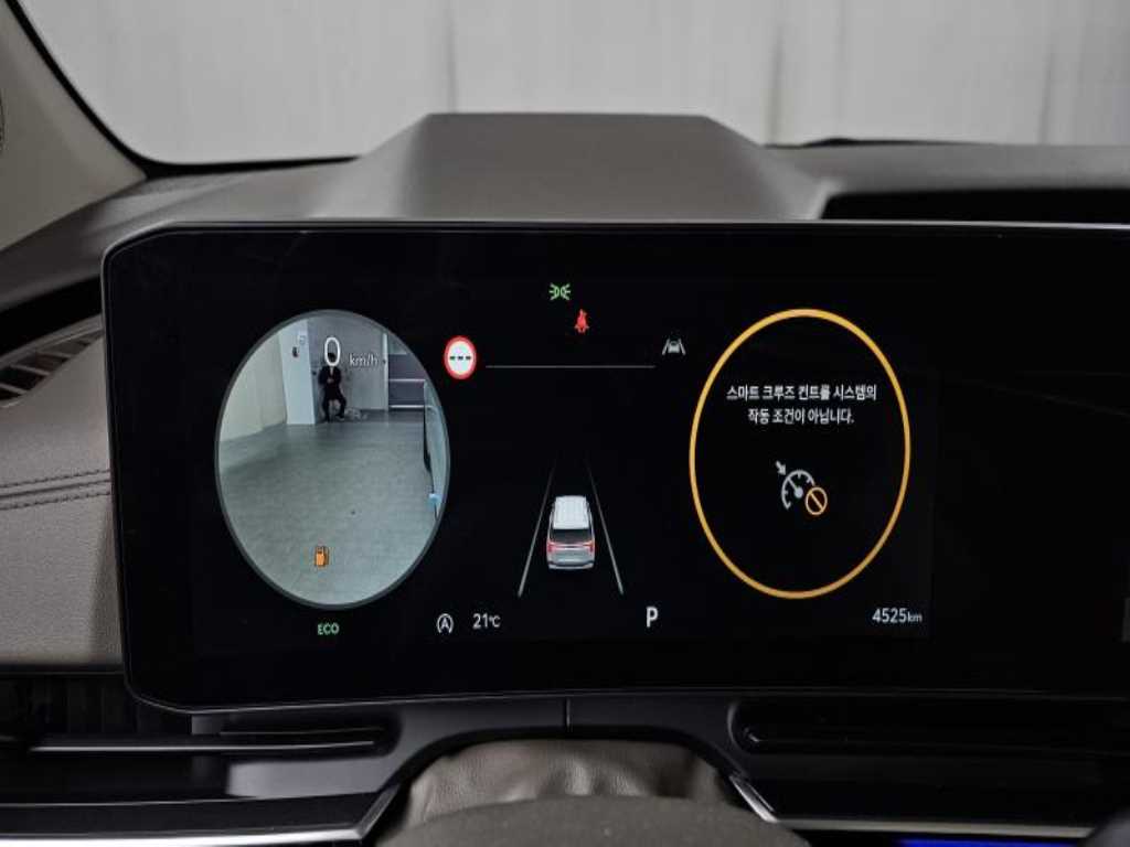 KIA Carnival - Vista 8