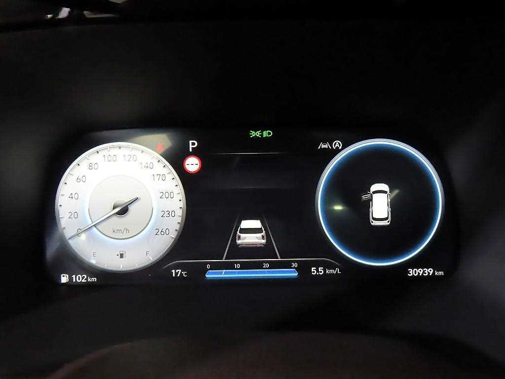 HYUNDAI Palisade - Vista 9