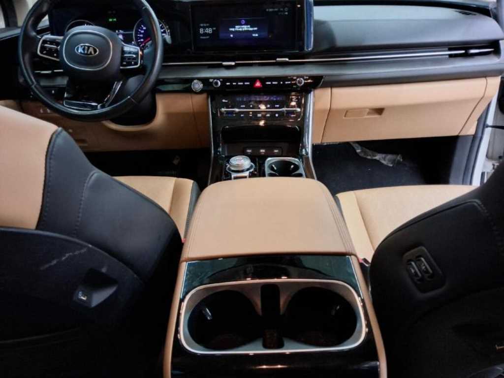 KIA Carnival - Vista 8