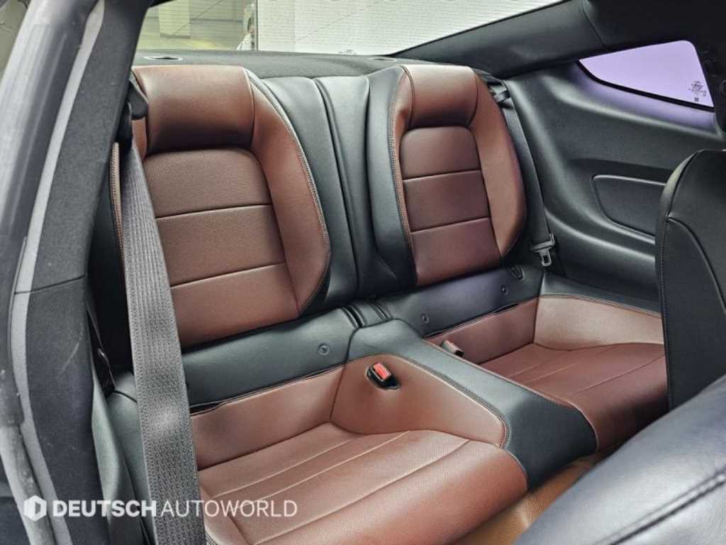 Ford Mustang - Vista 12