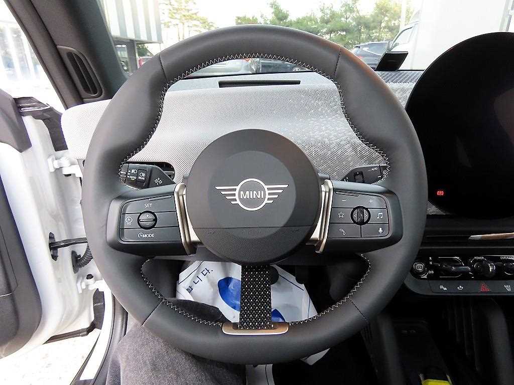 Mini Cooper Electric - Vista 8