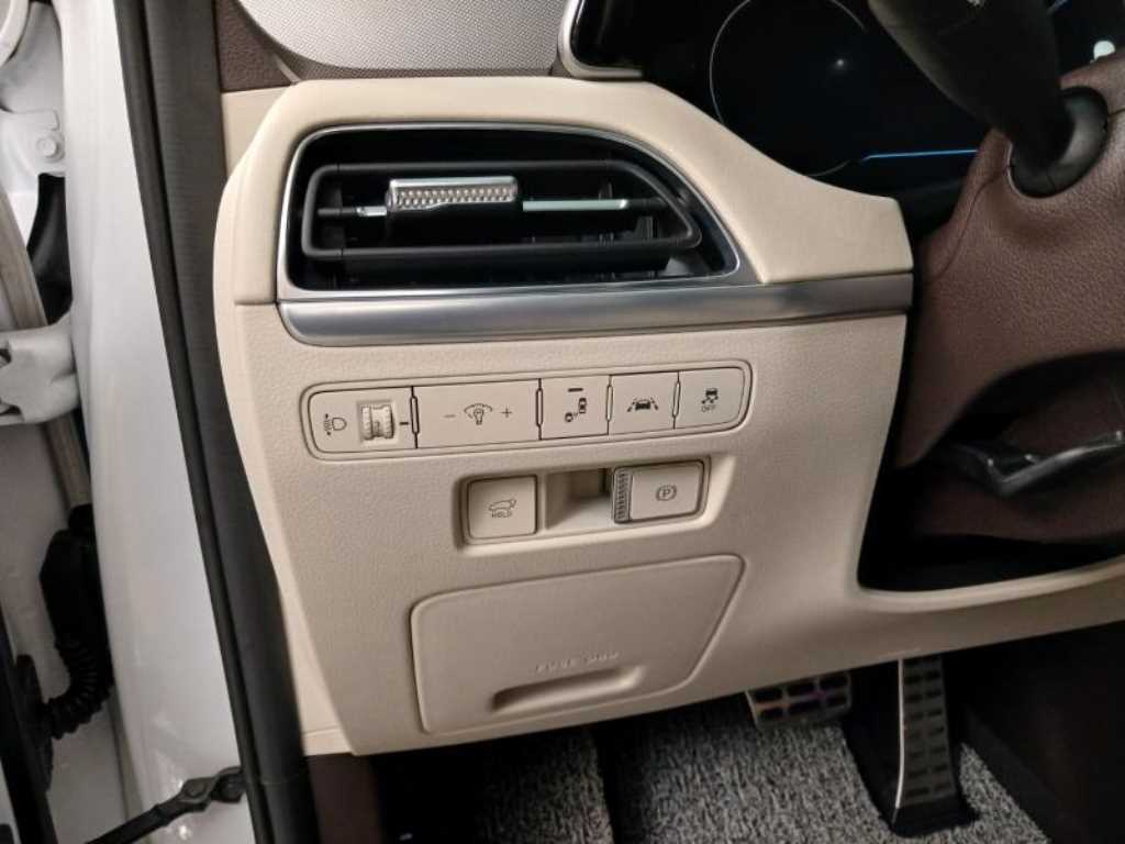 HYUNDAI Palisade - Vista 12