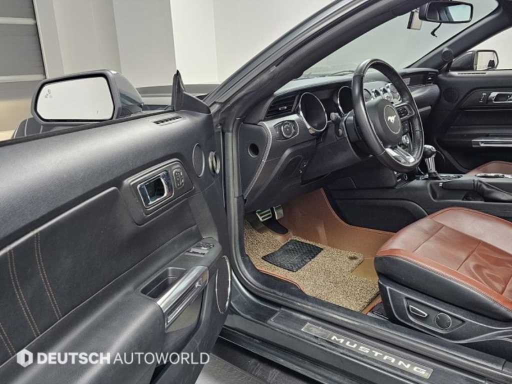 Ford Mustang - Vista 11