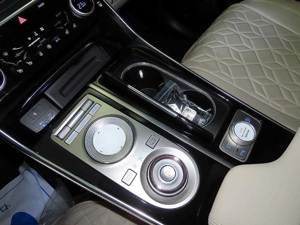 Genesis GV80 - Vista 12