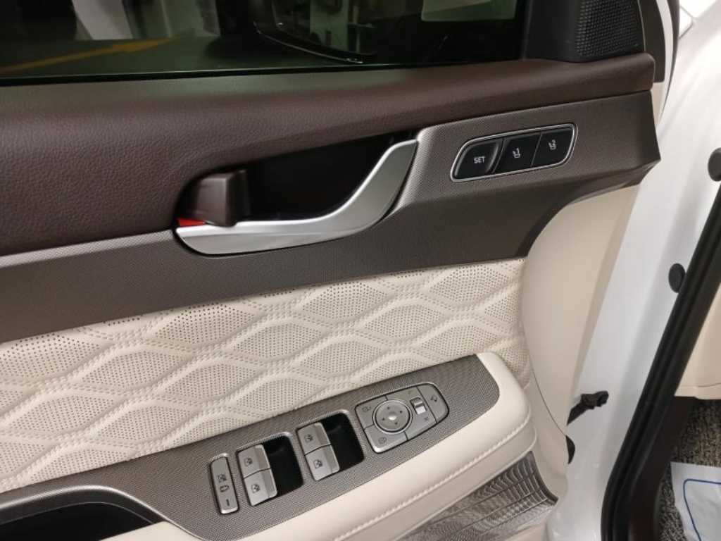 HYUNDAI Palisade - Vista 9