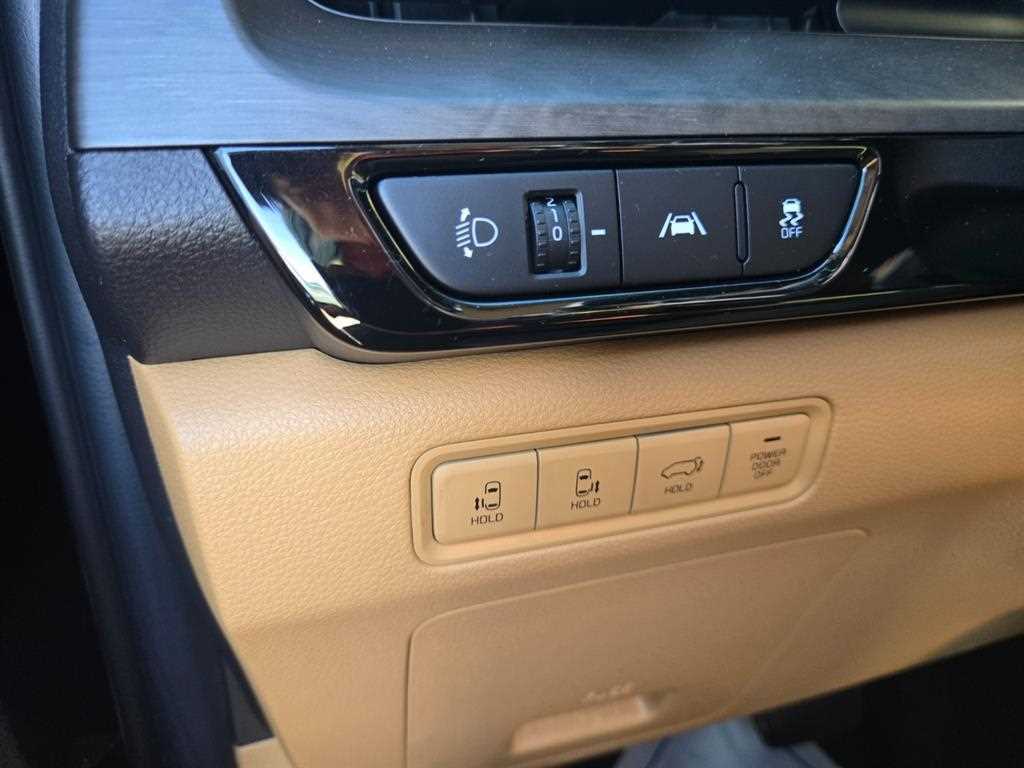 KIA Carnival - Vista 8