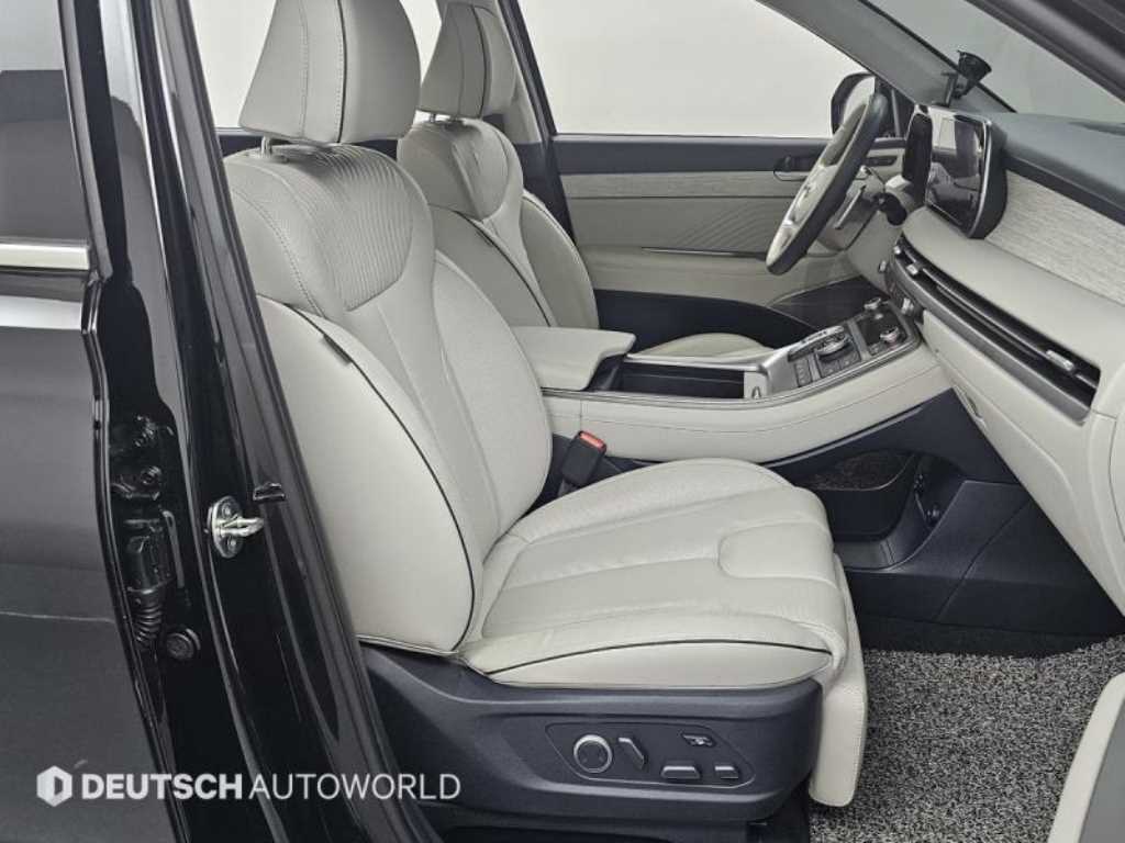HYUNDAI Palisade - Vista 10