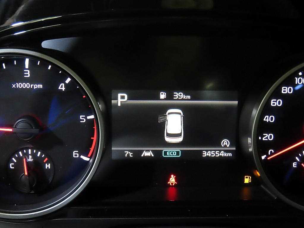 KIA Carnival - Vista 9