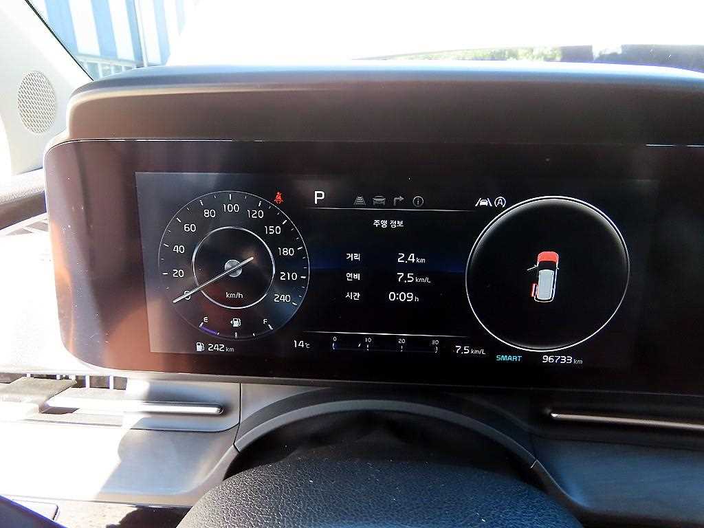 KIA Carnival - Vista 10