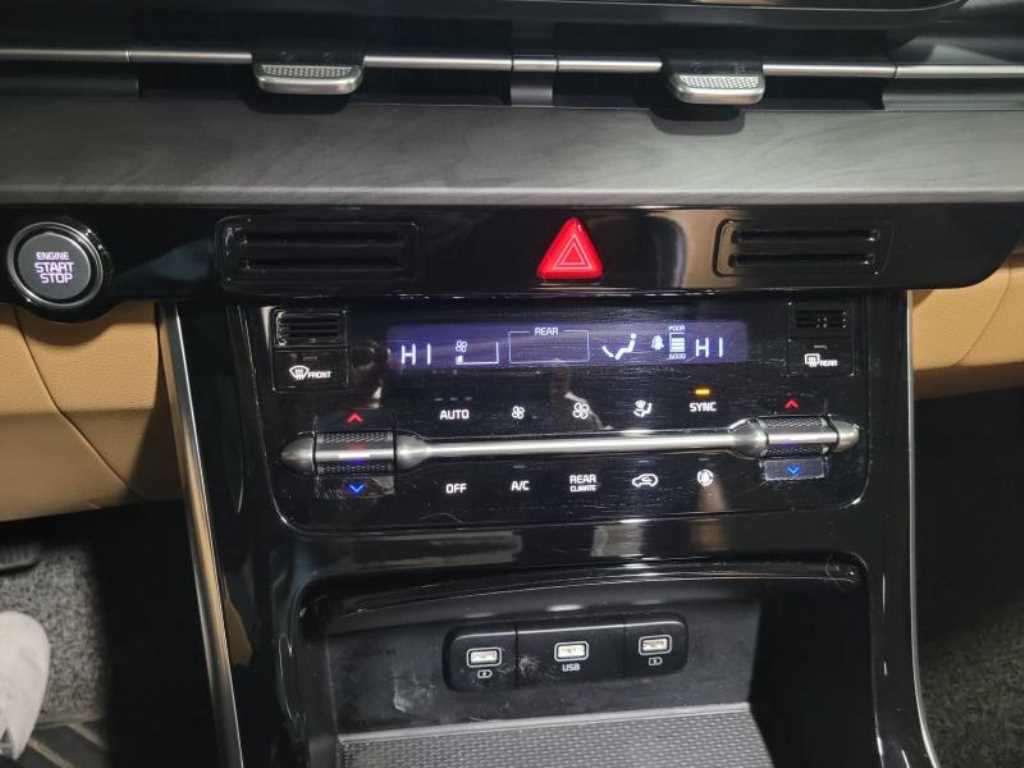 KIA Carnival - Vista 12