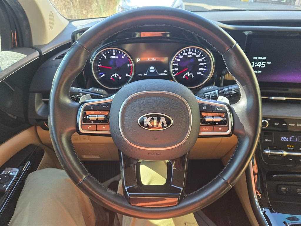 KIA Carnival - Vista 10