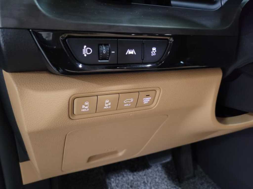 KIA Carnival - Vista 9