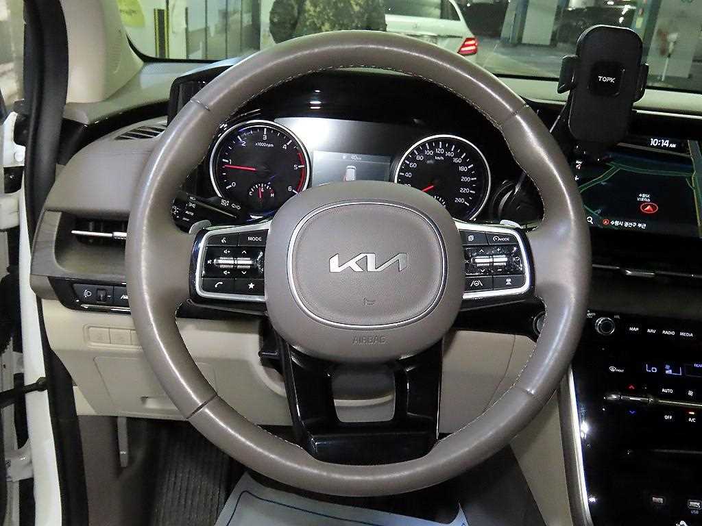 KIA Carnival - Vista 8