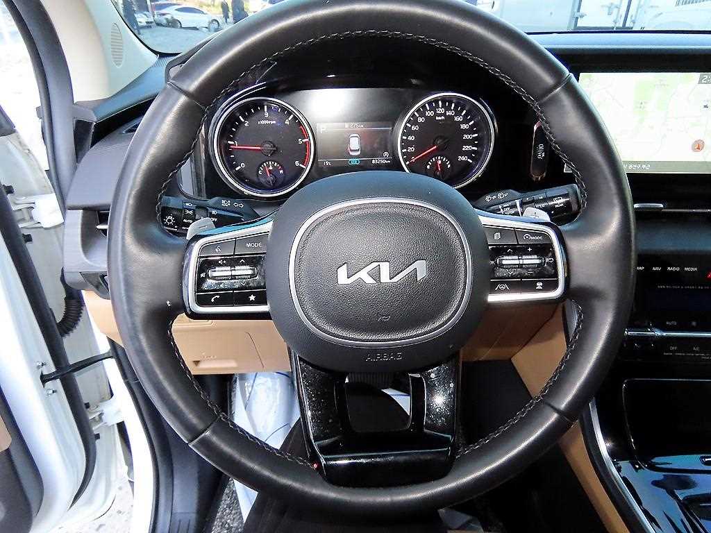 KIA Carnival - Vista 9