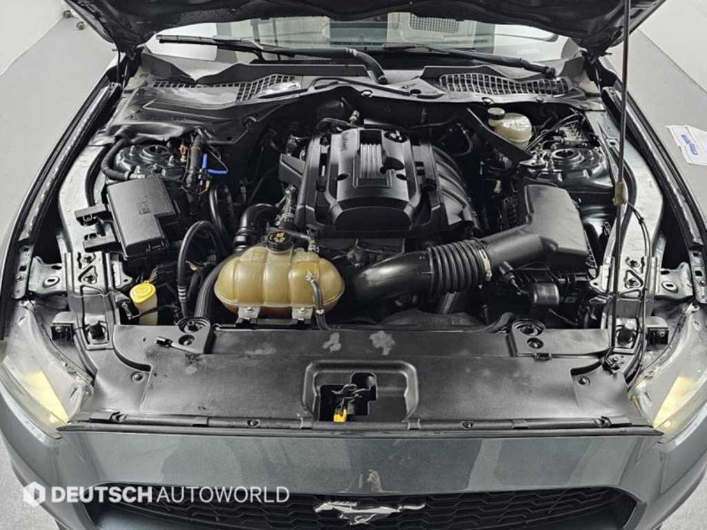 Ford Mustang - Vista 6