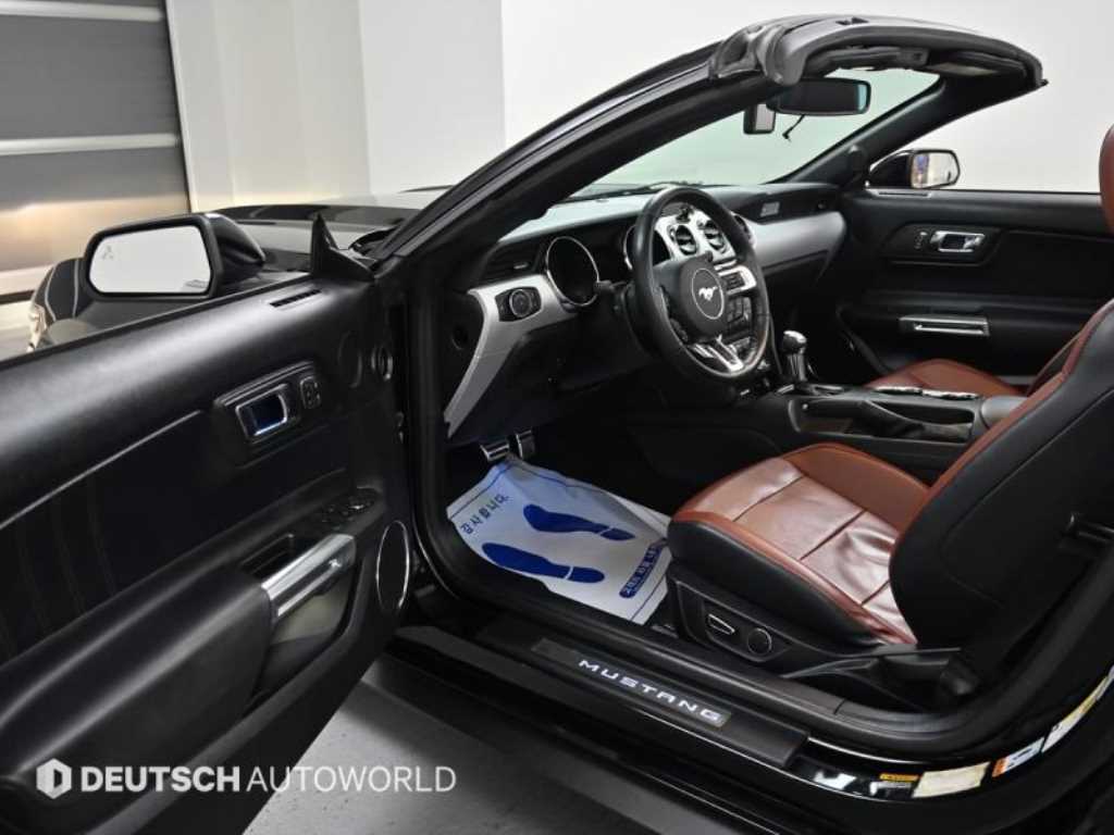 Ford Mustang - Vista 11