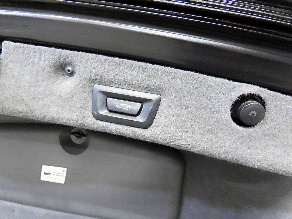 BMW 7 Series 2009 Negro - Importación desde Corea - HF Imports Iquique - Foto 16