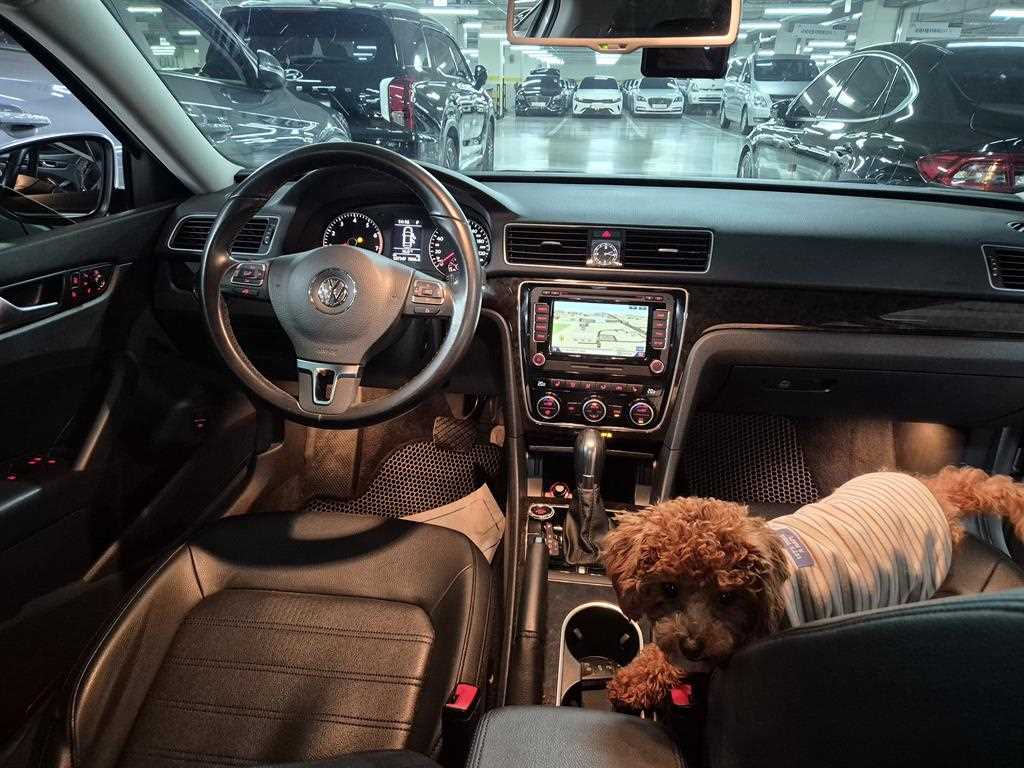 Volkswagen Passat - Vista 12