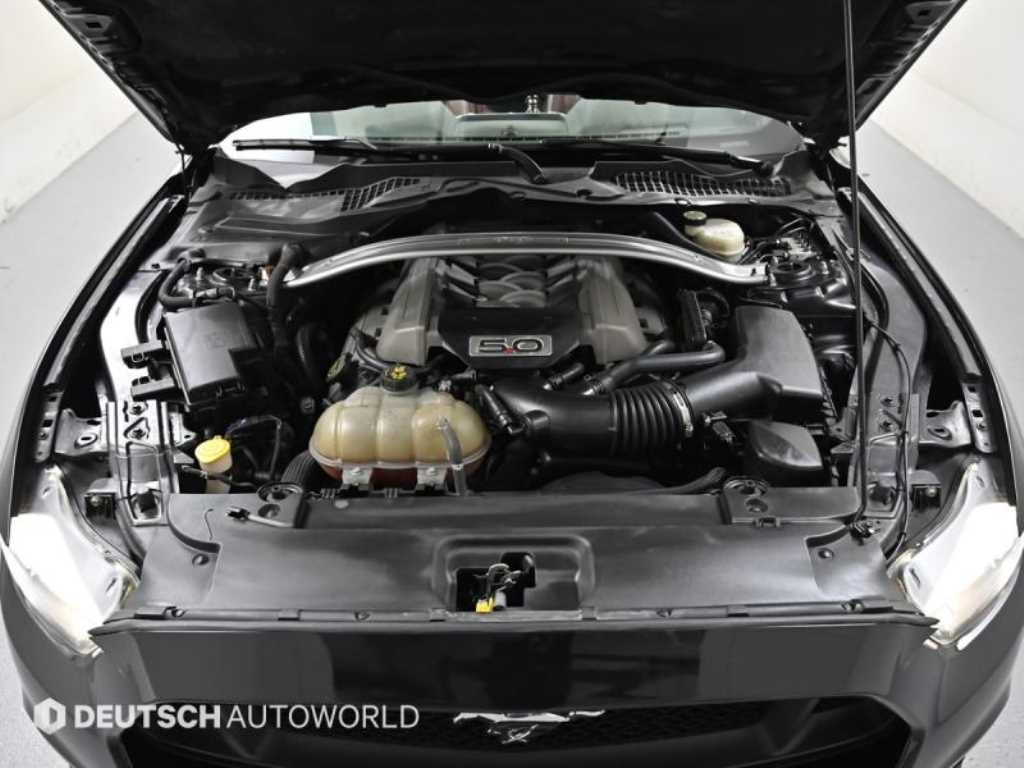 Ford Mustang - Vista 6