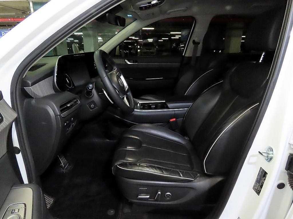 HYUNDAI Palisade - Vista 6