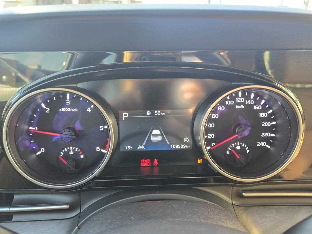 KIA Carnival - Vista 9