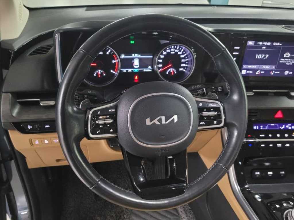 KIA Carnival - Vista 7