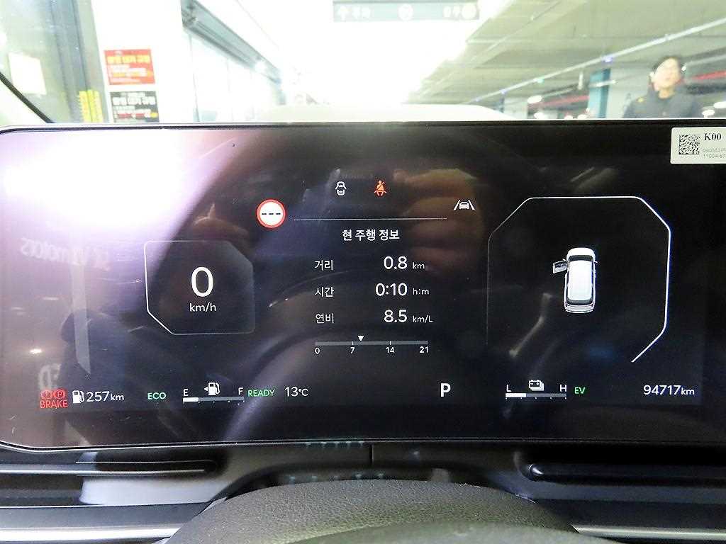 KIA Carnival - Vista 9