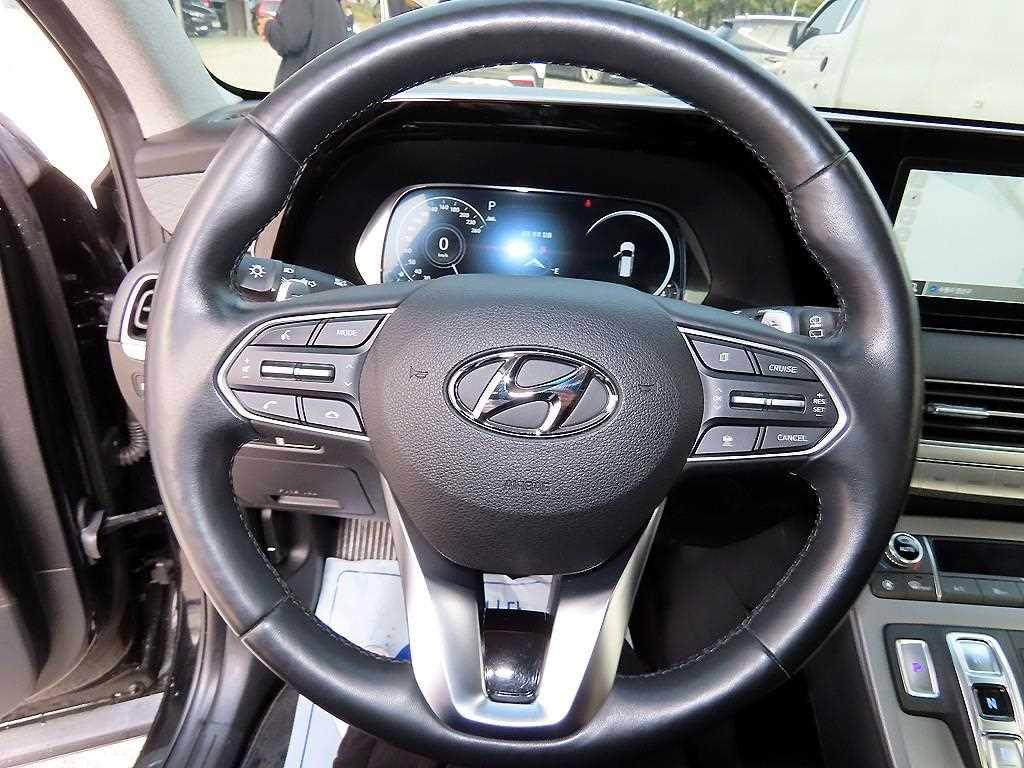 HYUNDAI Palisade - Vista 8