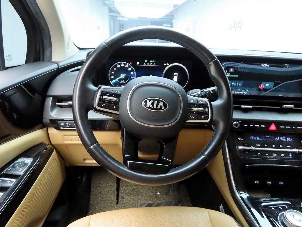 KIA Carnival - Vista 7