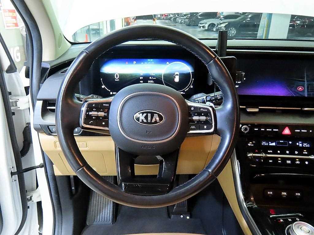 KIA Carnival - Vista 8