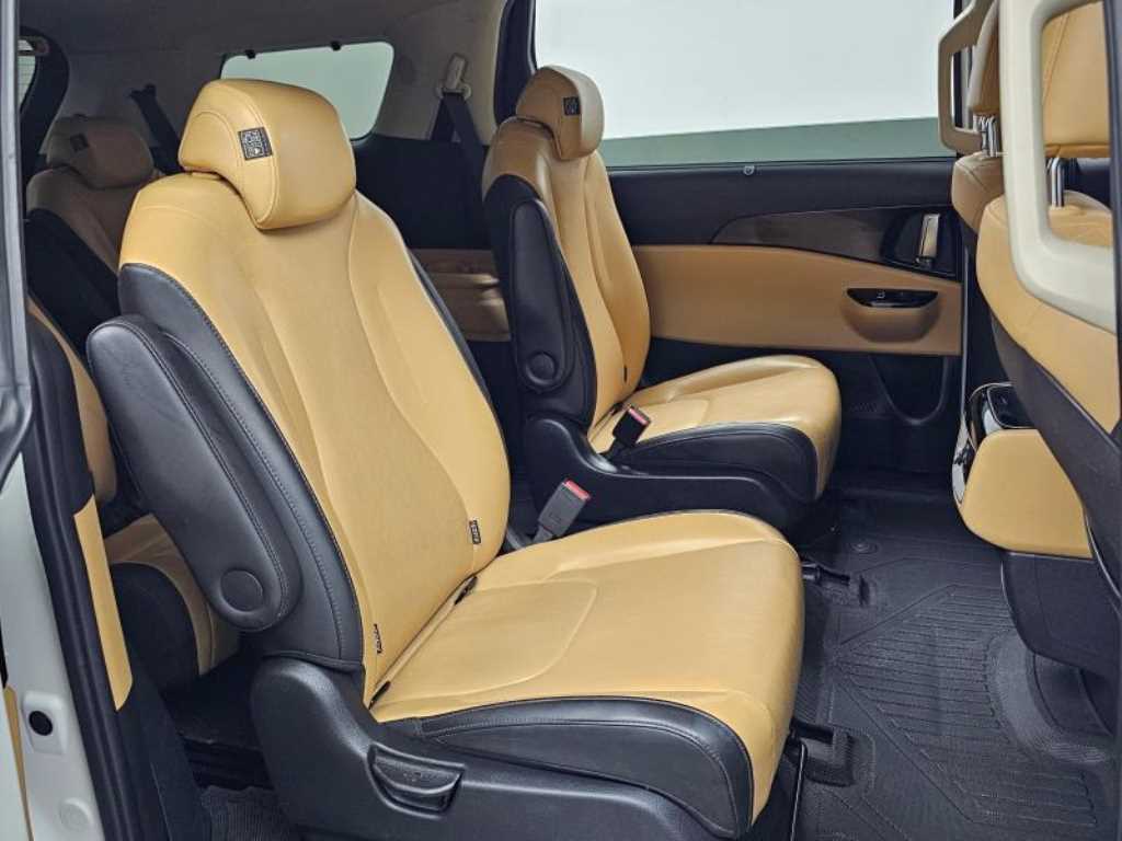 KIA Carnival - Vista 12