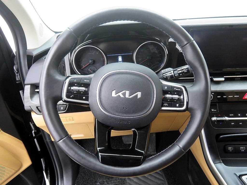 KIA Carnival - Vista 11